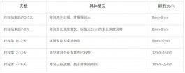各阶段排卵期卵细胞对照表(排卵期卵细胞每日增大多少)