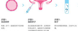 马来西亚阿尔法医院(AFC)关于囊胎移植医疗方案的解读