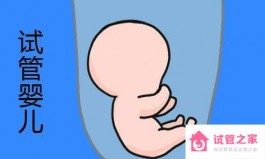 做试管怀上的孩子容易掉吗