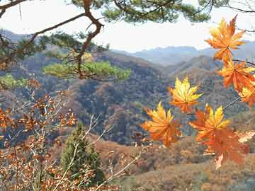 弄清3种状况，为冬季性爱加温（冬季性功能下降是什么原因引起的）